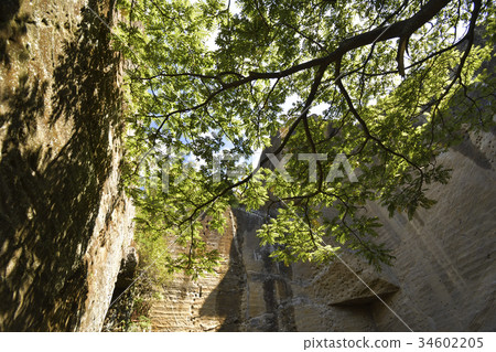 橫須賀市Kashitoriyama公園，後方的岩石地方 34602205