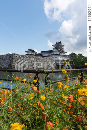 Toyama castle 34602964
