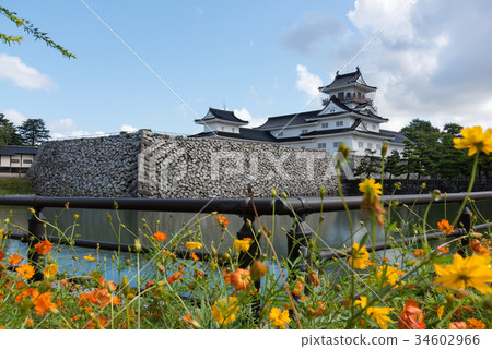 Toyama castle 34602966