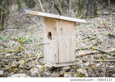 Birdhouse in forest near tree 34603115