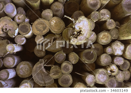 Wood, log (For example, forestry image is also acceptable) Wood, log (For example, forestry image is also acceptable) 34603149