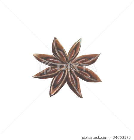 Anise star spice 34603173