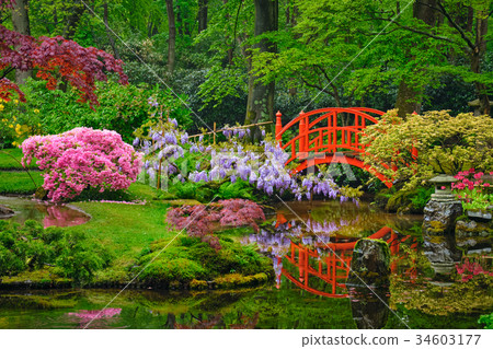Japanese garden, Park Clingendael, The Hague 34603177