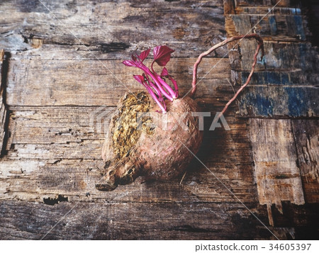 Sweet potato 34605397