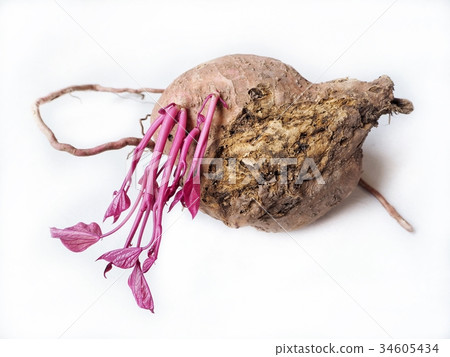 Sweet potato isolated 34605434