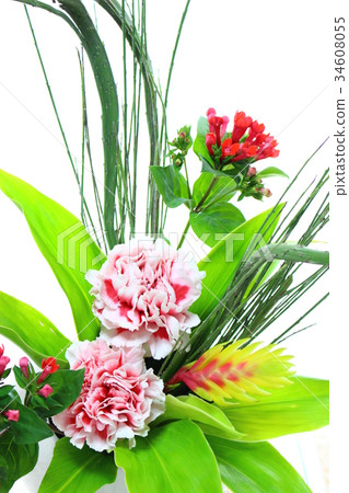Carnation Flower Arrangement Carnation Flower Arrangement 34608055