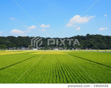 Countryside scenery in September (near Aikawamachi Shimoiwawa) 34608488