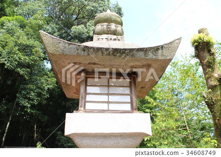 Stone lantern of the shrine 34608749