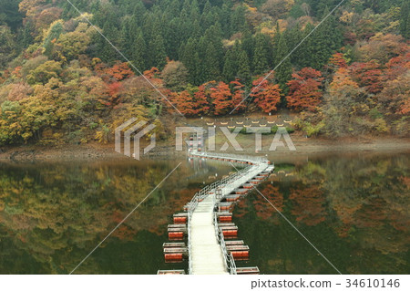水路 水路 34610146