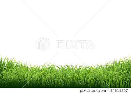 Green Grass Border 34611207