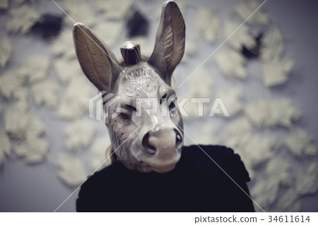 donkey selfie donkey selfie 34611614