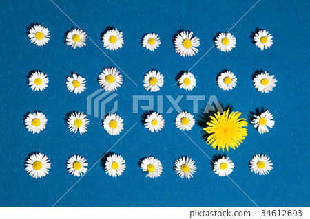 pattern flower pattern flower 34612693