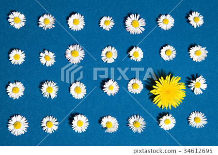 pattern flower pattern flower 34612695