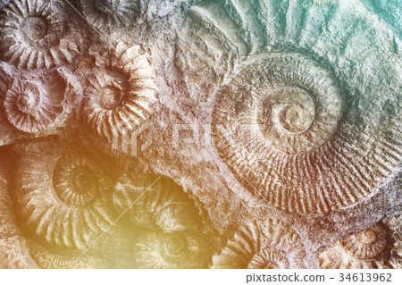 Prehistoric nature background. Prehistoric nature background. 34613962