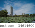 Urban Nature 34614600