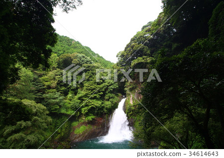 Otaki(Kawatsu Nanataki) Otaki(Kawatsu Nanataki) 34614643