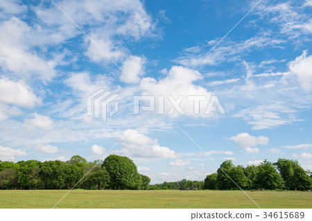 Fresh green park england Fresh green park england 34615689