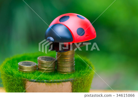 Stack of gold coin on artificial grass in pot Stack of gold coin on artificial grass in pot 34615866
