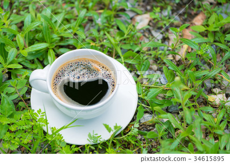 White cup of hot coffee on the plant green White cup of hot coffee on the plant green 34615895