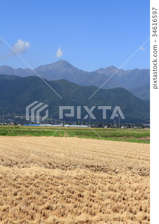 Autumn of Azumino Karita Autumn of Azumino Karita 34616597