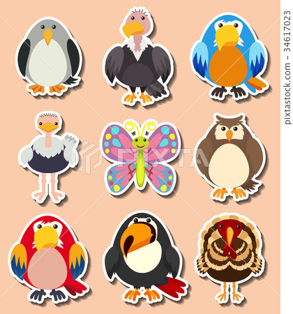 Sticker design with different kinds of birds Sticker design with different kinds of birds 34617023