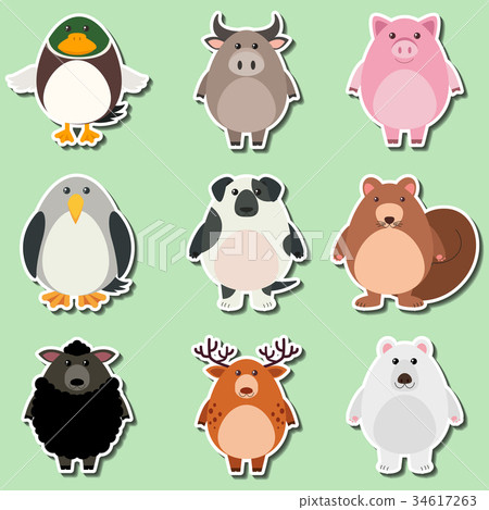 design for cute animals on green background design for cute animals on green background 34617263