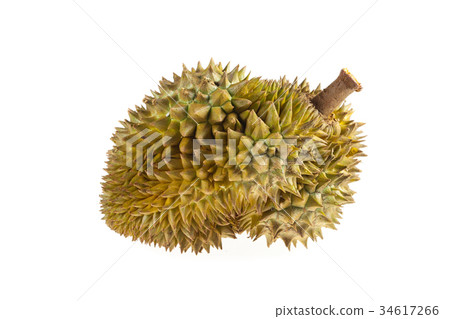 Fresh durian on white background. Fresh durian on white background. 34617266