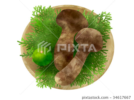 松島和Sudachi(Takezaru) 松島和Sudachi(Takezaru) 34617667