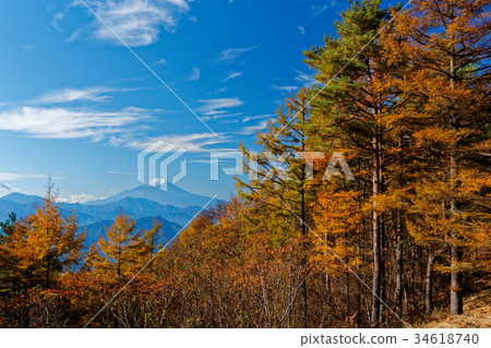 黃山落葉松山和富士山 34618740