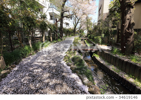 Hachika Village Waterfront Green Road Near Higashi Ayase Park, Adachi-ku 34619146