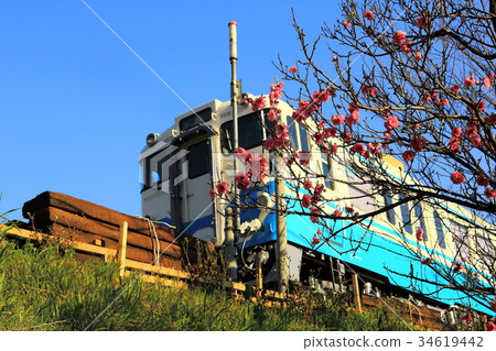 Peach blossoms and a train 34619442