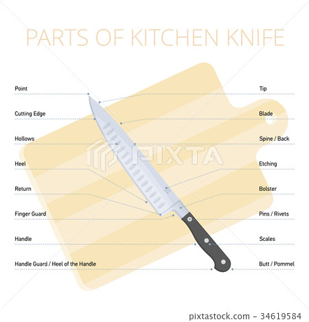 Kitchen knife parts diagram. Vector infographic. 34619584
