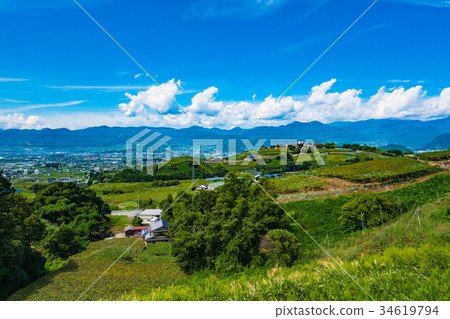山梨縣勝沼葡萄之丘 / 葡萄園與藍天交相輝映的水果村 34619794