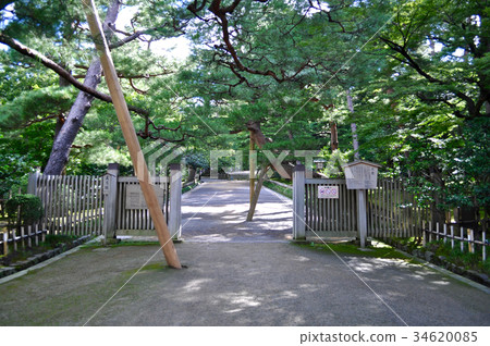 Ishikawa Prefecture Kanazawa City Kenrokuen Pictures 34620085