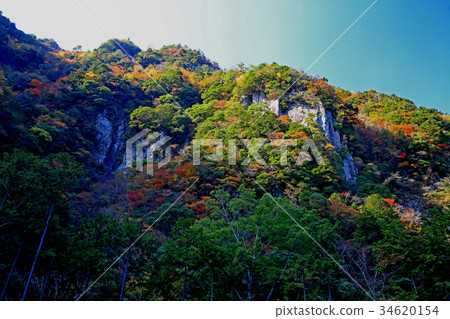 Kaoru incense autumn leaves 34620154