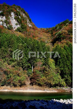 Kaoru incense autumn leaves 34620160