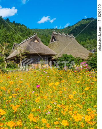 Miyama Seki no Sato Miyama Seki no Sato 34620400