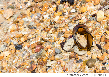 圖庫照片: the rubbish on the beautiful beach.