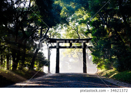 Meiji Shrine Torii Torii 34621372