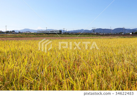 米八公線 34622483