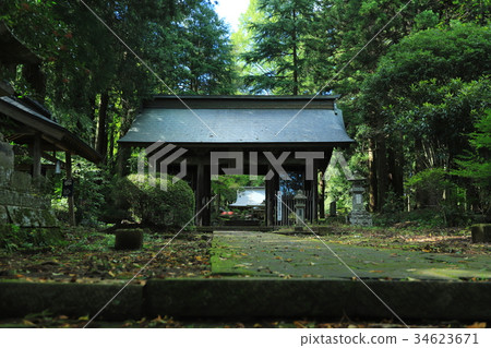 巴巴市老神社 34623671