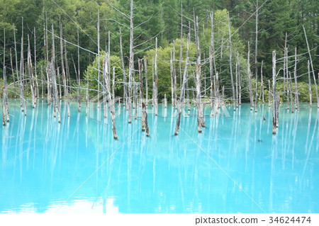 Blue pond Hokkaido Biei Blue pond Hokkaido Biei 34624474