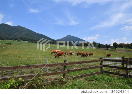 鞍山風光 鞍山風光 34624844