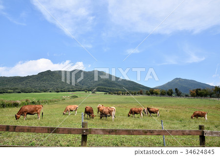 Anshan scenery 34624845