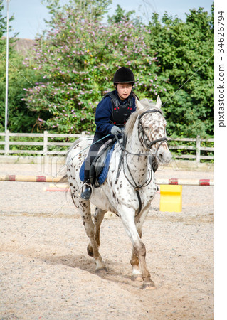 採取在一匹白馬的女孩馬術教訓與黑罰款在藍天下 34626794