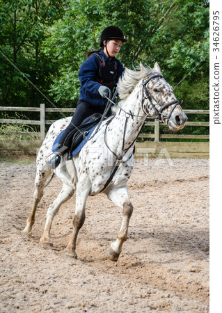 採取在一匹白馬的女孩馬術教訓與黑罰款在藍天下 34626795