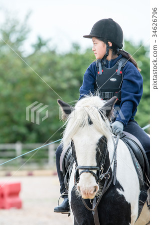 採取在一匹黑白被仿造的馬的女孩馬術課 34626796