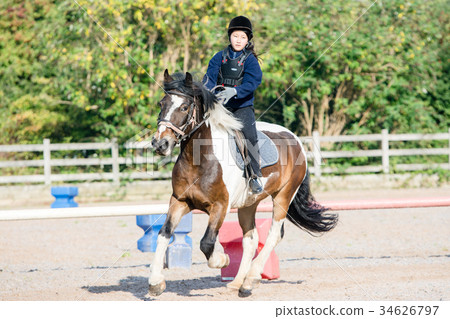 在一匹白色和黑褐色馬的女孩實踐的騎馬 34626797