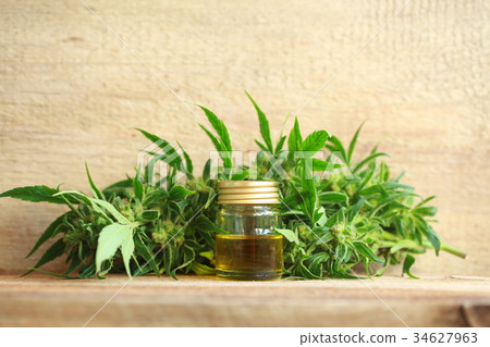 cannabis oil and hemp 34627963
