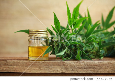 cannabis oil and hemp cannabis oil and hemp 34627976